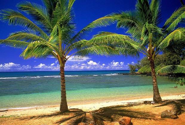 Sun drenched beaches