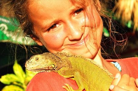 wonders of Nature tour small